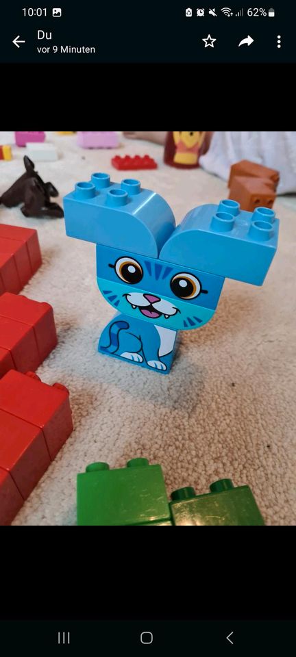 Lego Duplo Bauernhof Tiere Steine Prinzessin Turm Sets Sonder in Korb