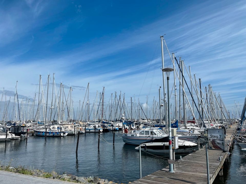 Ferienwohnung Ostsee Heiligenhafen gerne mit Hund in Heiligenhafen 