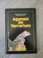 Reptilien Agamen im Terrarium Baden-Württemberg - Korntal-Münchingen Vorschau