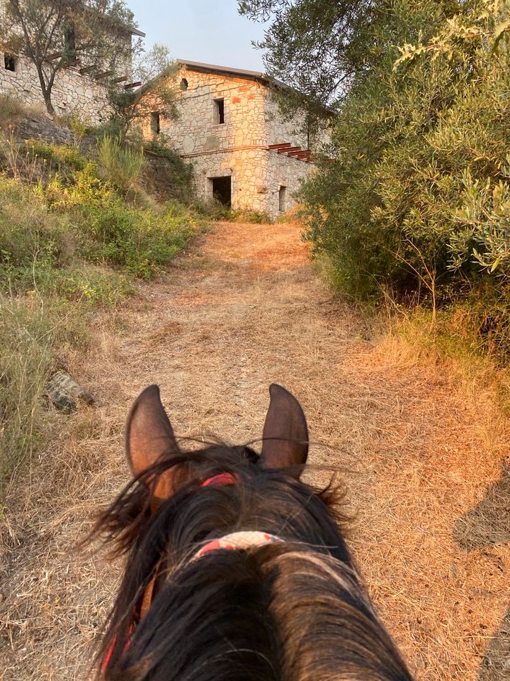 Urlaub oder Reiturlaub Reitferien Reiterferien in Griechenland in Schönefeld