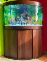 Aquarium mit Unterschrank Berlin - Lichtenberg Vorschau