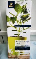 2 XL Pflanzen Bewässerungskugeln Gießkugel Selbstbewässerung Glas Wiesbaden - Mainz-Kastel Vorschau