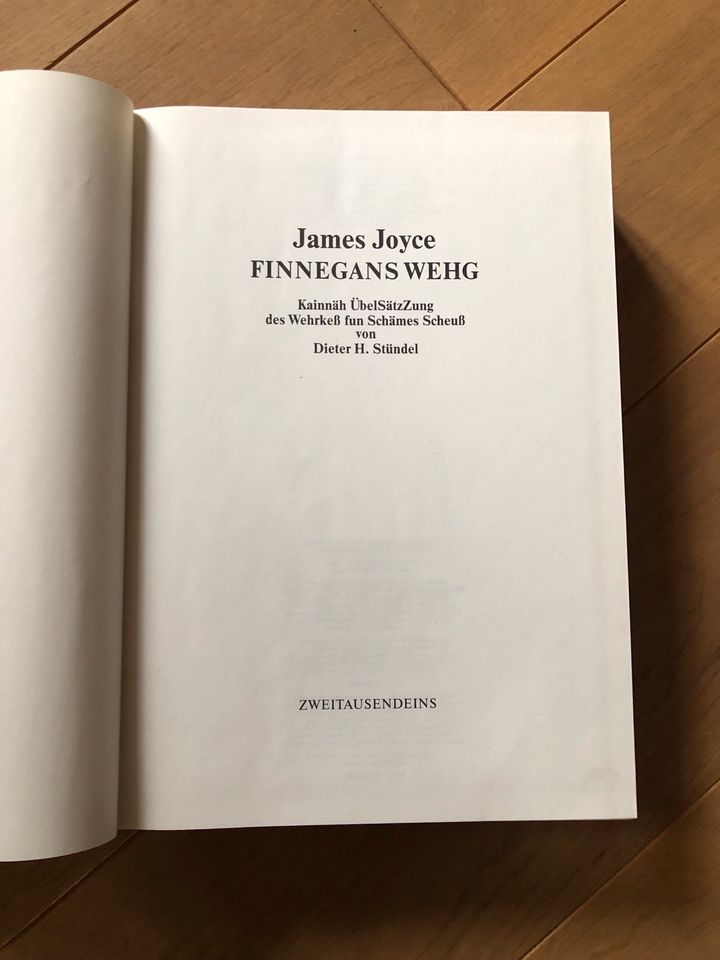 James Joyce  Finnegans Wegh in Marburg