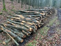 Stammholz Buche Industrieholz 3 Meter Hessen - Fritzlar Vorschau