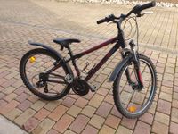 Fahrrad Mountainbike 24 Zoll 21 Gänge Checker Pig Pig Racer Baden-Württemberg - Gaggenau Vorschau