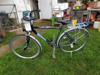 Herren Fahrrad Herrenfahrrad 28 Zoll Rad 24 Gangschaltung Scott Bayern - Plattling Vorschau