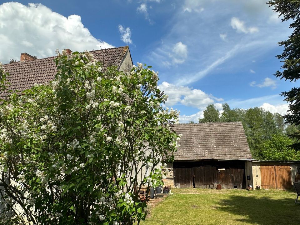 Bauernhaus im Spreewald mit großem Grundstück und einer Scheune zu verkaufen! in Byhleguhre-Byhlen