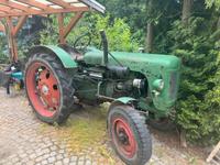 Famulus wassergekühlt Oldtimer Traktor IFA Fortschritt DDR Sachsen - Großdubrau Vorschau