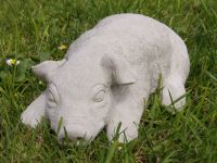 Beton Skulptur SCHWEINCHEN BABE große wetterfeste Garten-Figur Nordrhein-Westfalen - Stolberg (Rhld) Vorschau