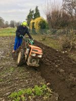 Fräsen, pflügen, Schrebergarten, Saatbeet, Rasen neu einsäen Nordrhein-Westfalen - Warburg Vorschau