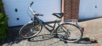 Torpedo Damen Fahrrad 21 Gänge Trekkingrad Bielefeld - Brake Vorschau