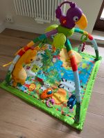 Spielbogen Fisher Price Rainforest Wuppertal - Elberfeld Vorschau