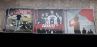 Sunrise Ave-Sammlung- -DVD-Live- 5 Cds- sehr gut- gebraucht Nordrhein-Westfalen - Bedburg-Hau Vorschau