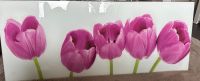 Glasbild Tulpen Farben Frühling Bild lila Sachsen-Anhalt - Wernigerode Vorschau