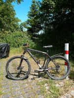 Mountainbike Haibike Bayern - Neumarkt i.d.OPf. Vorschau