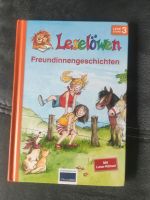 Leselöwen Freundinnengeschichten Bayern - Neustadt an der Aisch Vorschau