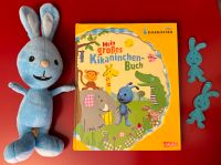 Kikaninchen Stofftier Hasbro + Buch Carlsen Innenstadt - Köln Altstadt Vorschau