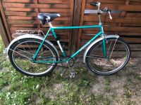 Diamant Fahrrad 26 Zoll Leipzig - Sellerhausen-Stünz Vorschau