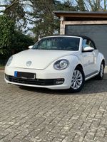 Volkswagen New Beetle Nordrhein-Westfalen - Wegberg Vorschau