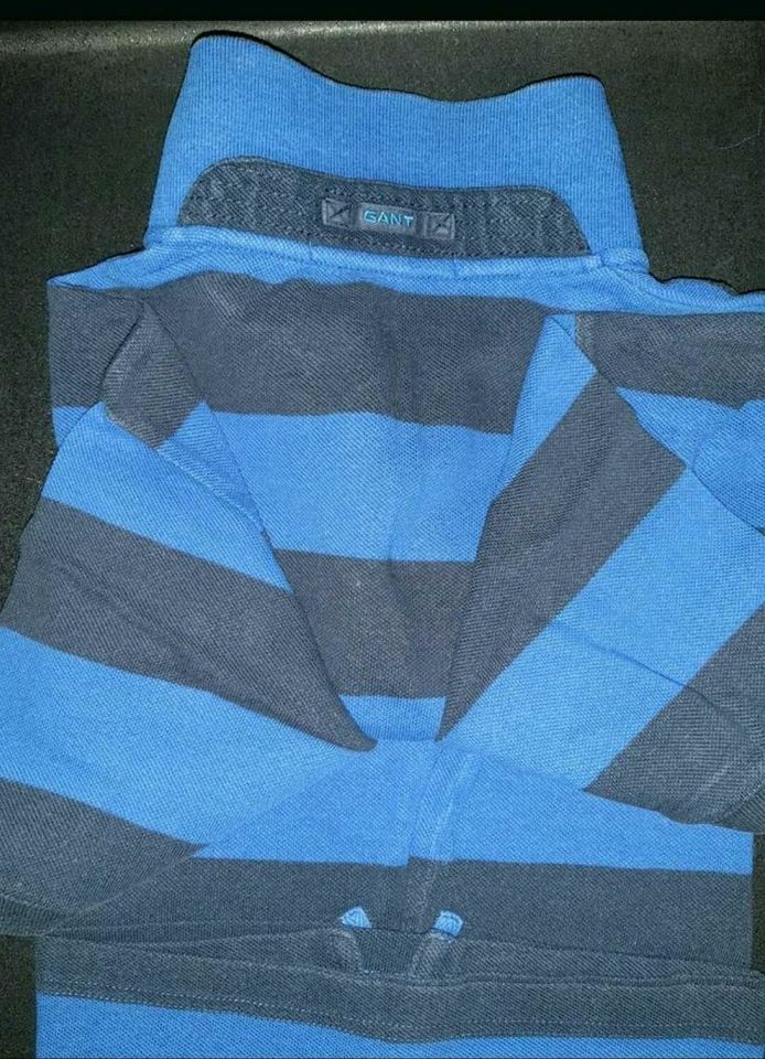 GANT Poloshirt Gr. L blaue Blockstreifen in Volkertshausen