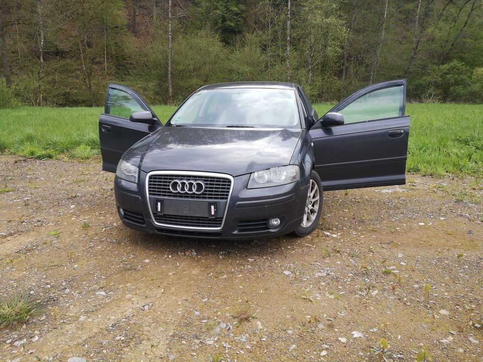 Audi A3 Sportback in Balve