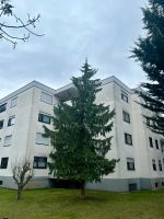 Preiswerte 3-Zimmer-Wohnung zum Kauf in Nauheim Hessen - Nauheim Vorschau