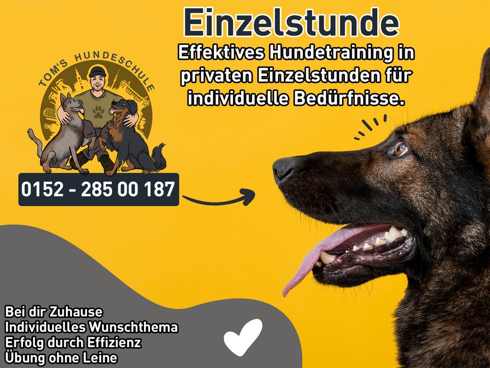 Hundeschule: Einzelstunde für deinen Hund in Dortmund in Dortmund