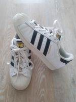 Sneaker adidas Superstar Gr. 38 Brandenburg - Eisenhüttenstadt Vorschau