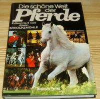 Die schöne Welt der Pferde Niedersachsen - Upgant-Schott Vorschau