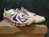 Asics Gel Blade 5 Squashschuhe Damen Gr. 40 Neu Nordrhein-Westfalen - Herdecke Vorschau