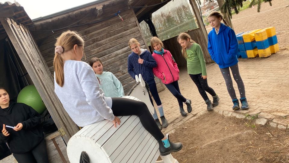 Reittherapie Reitunterricht für Kinder, Ponykindergarten ab 3 in Hochdonn