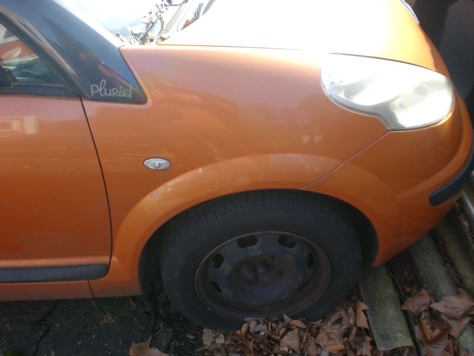 Citroen Pluriel Kotflügel Khud Orange Aerien metallic kupfer in Hamburg