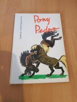 Pony Pedro / Kinderbuch von Erwin Strittmacher Dresden - Äußere Neustadt Vorschau