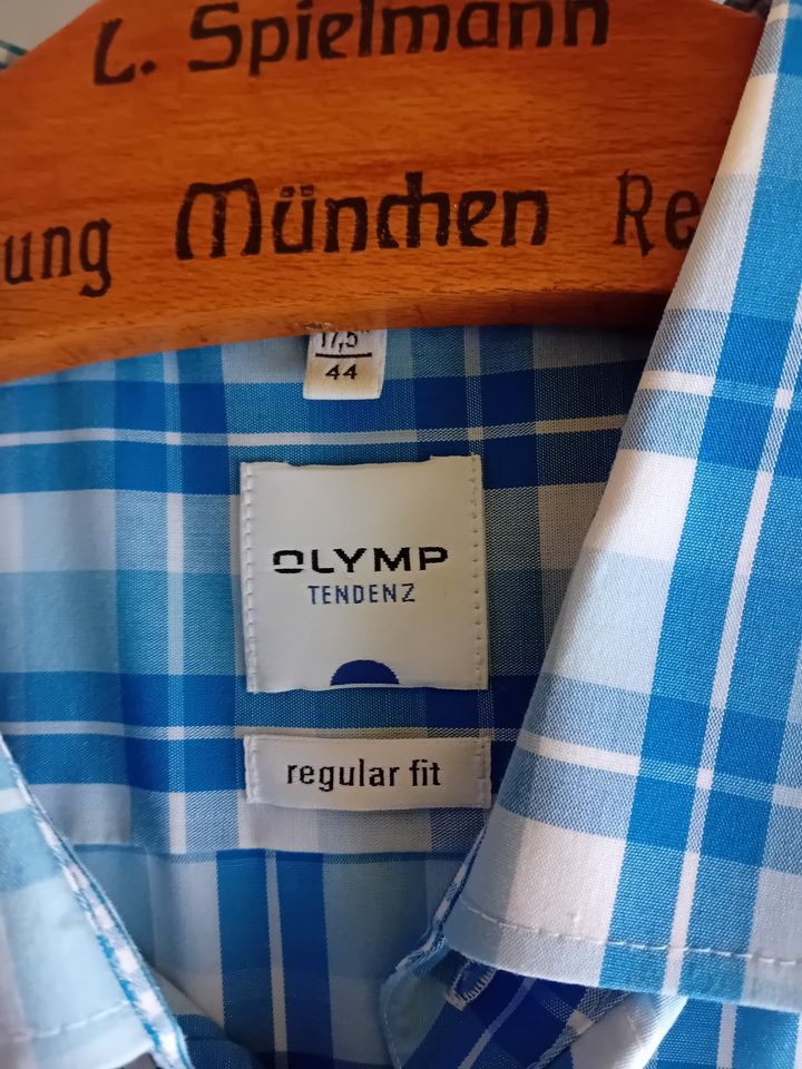 Olymp Hemd in Lauchheim