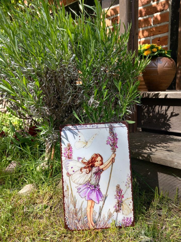 Blechschild Blumenelfe Lavendel in Perleberg