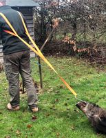 Bergehilfe Jagd Nordrhein-Westfalen - Wegberg Vorschau