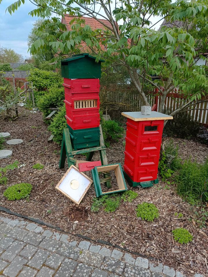 Bienen Warre' Beute, Holzbeute Bienenbeute in Wischhafen