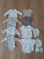 Baby Bodys Bodies Gr. 44 / 50 Brandenburg - Brandenburg an der Havel Vorschau