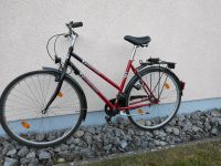 Damen Fahrrad Nordrhein-Westfalen - Marienmünster Vorschau