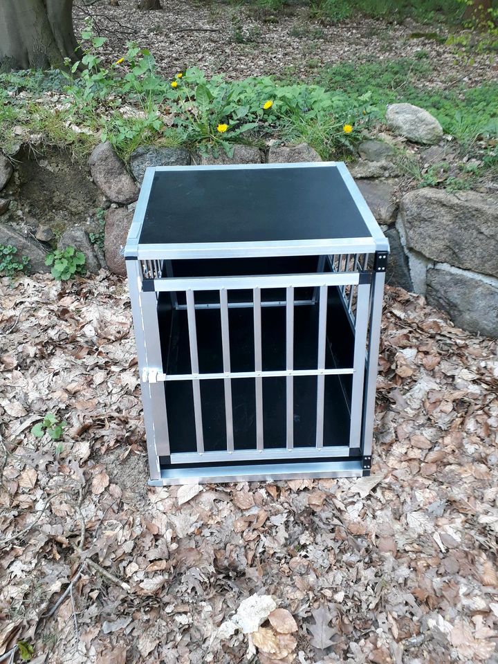 Hundebox XXL in Buchholz in der Nordheide