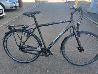 Fahrrad Marke Bergamont Horizon N8  7-Gang-Narbenscha Baden-Württemberg - Konstanz Vorschau