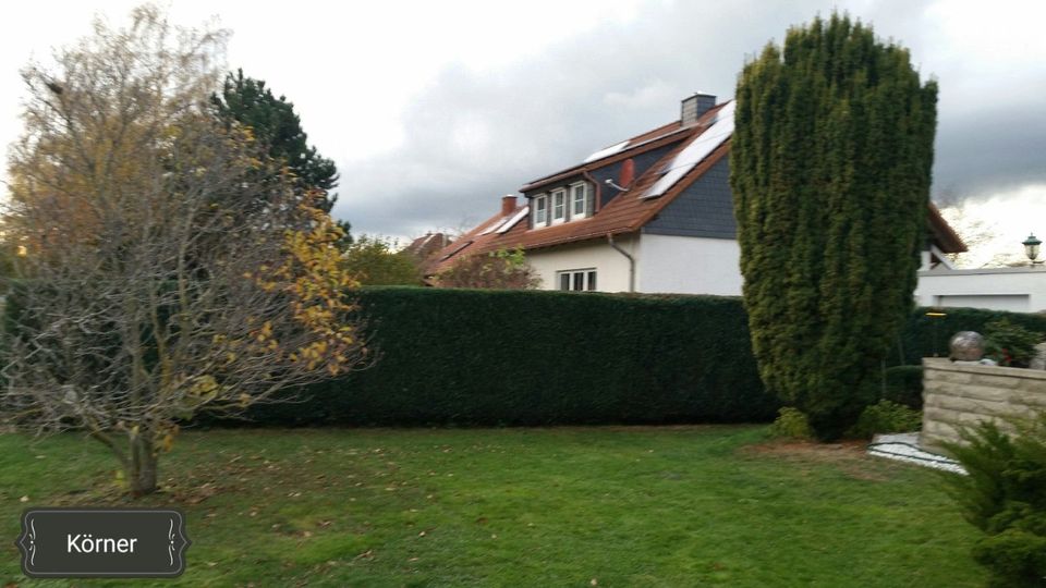 Dienstleistungen rund um Haus und Garten in Hornburg