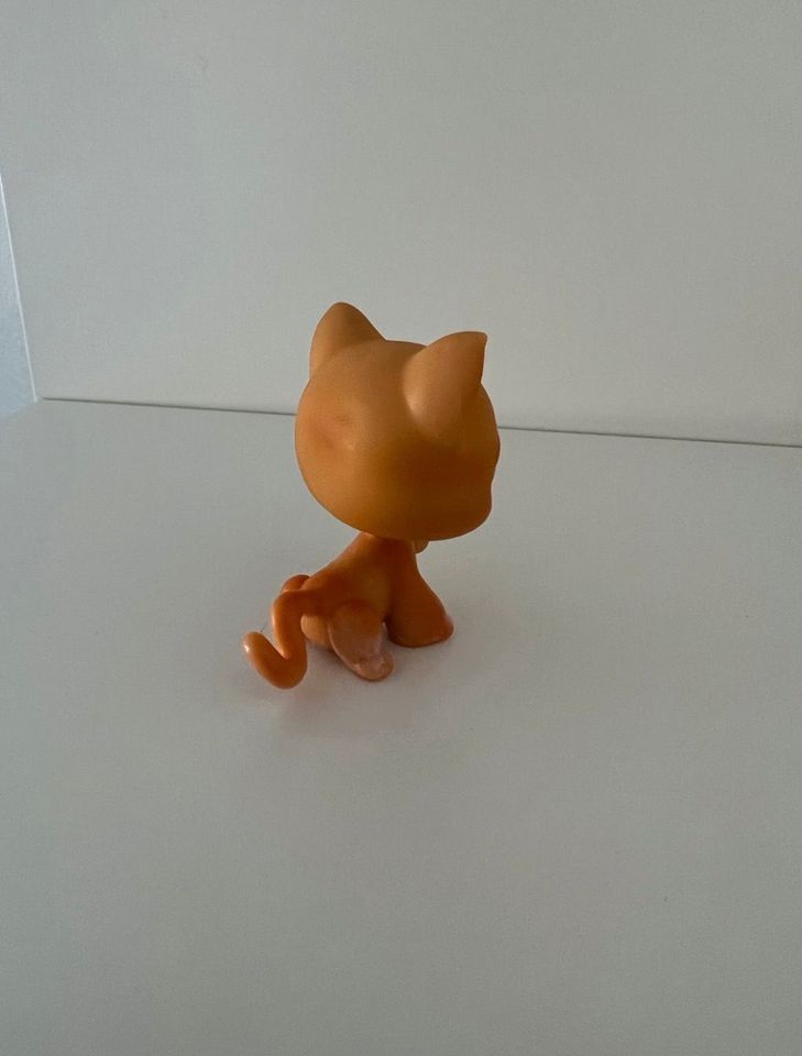 Littlest Pet Shop Katze #11 Spielfigur LPS Sammelfigur in Hanau