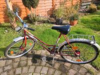 Diamant Damenfahrrad Fahrrad DDR Retro Sachsen - Döbeln Vorschau