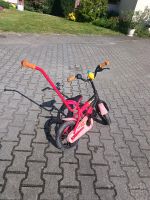 Kleinkinderfahrrad Brandenburg - Jüterbog Vorschau