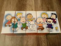 Peanuts Videokassetten Charlie Brown Snoopy Thüringen - Bad Liebenstein Vorschau