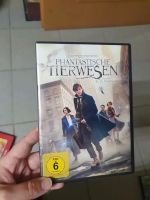 DVD "Phantastische Tierwesen und wo sie zu finden sind" Nordrhein-Westfalen - Paderborn Vorschau