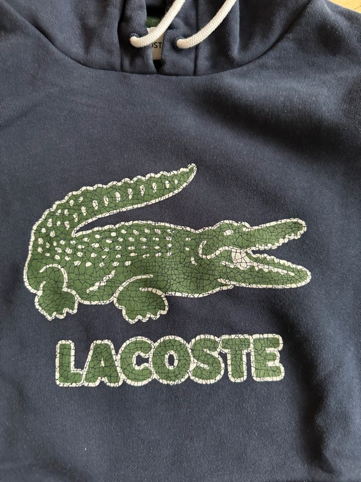 Lacoste Sweatshirt Gr. L Neuwertig in Kevelaer