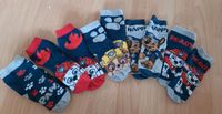 5 Paar Socken Gr. 23 - 26 Strümpfe Paw Patrol Sachsen-Anhalt - Magdeburg Vorschau