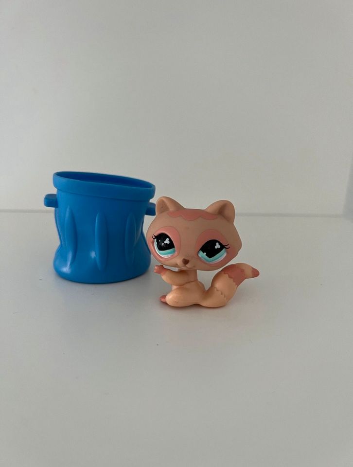 Littlest Pet Shop Waschbär Spielfigur #669 / Sammelfigur LPS in Hanau